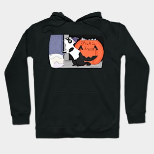 Ferret- Halloween Hoodie